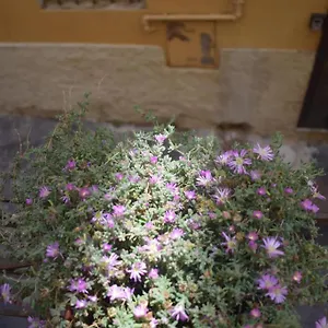 casa-san-michele.it-tuscanyhotel.com/